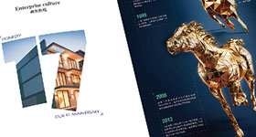 �����Ƽ����������