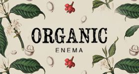 ��ɭ����