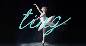 ��֮���赸��ѵѧУ