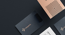 OSeyeris������